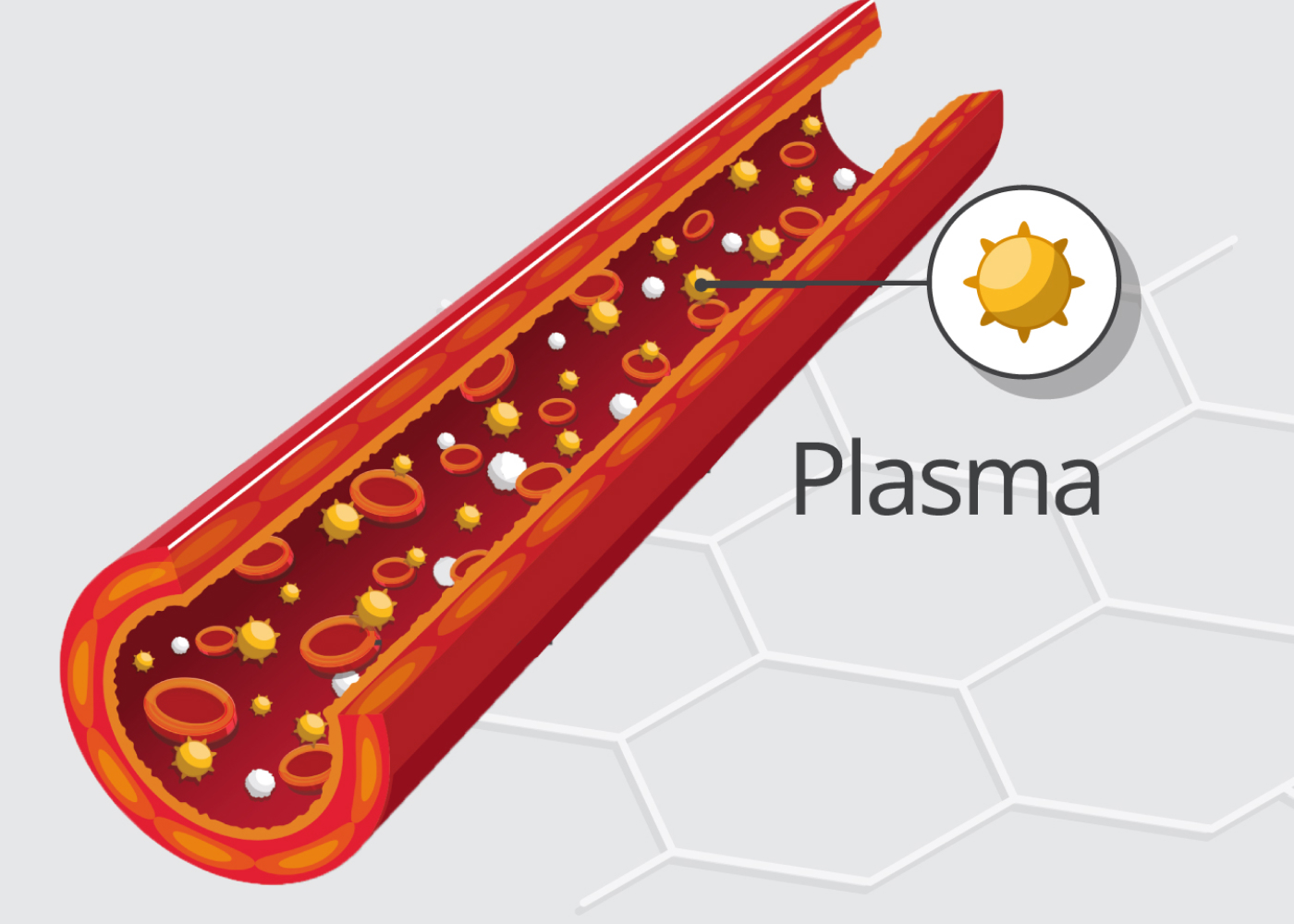 Plasma